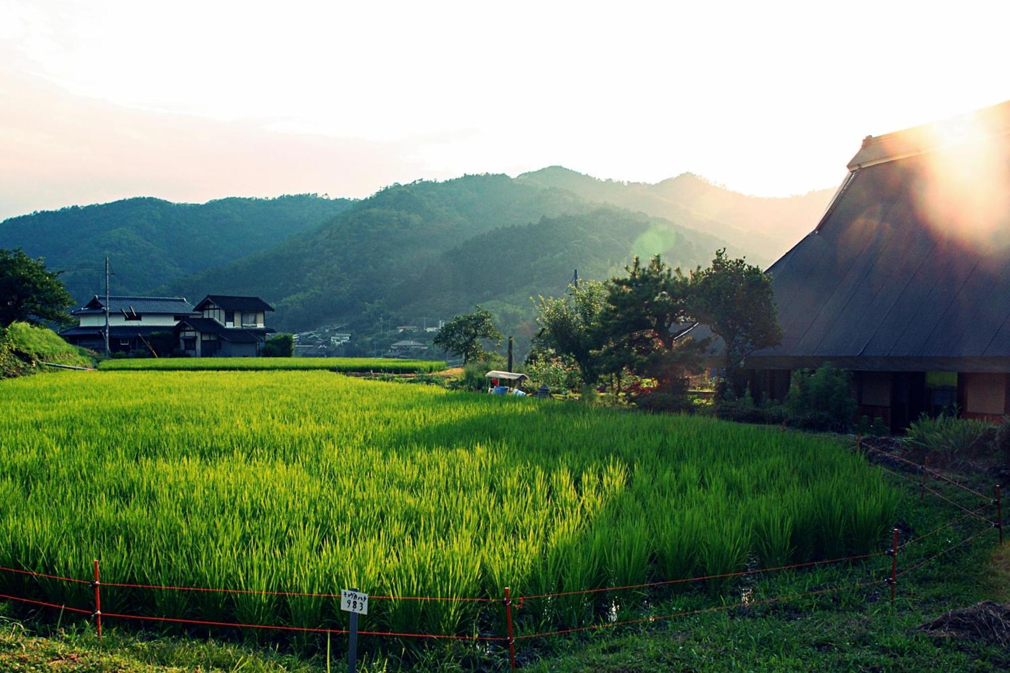 古民家の宿 ふるま家 Furumaya House Gastronomic Farmstay In Deep Kyoto Fukuchiyama Εξωτερικό φωτογραφία