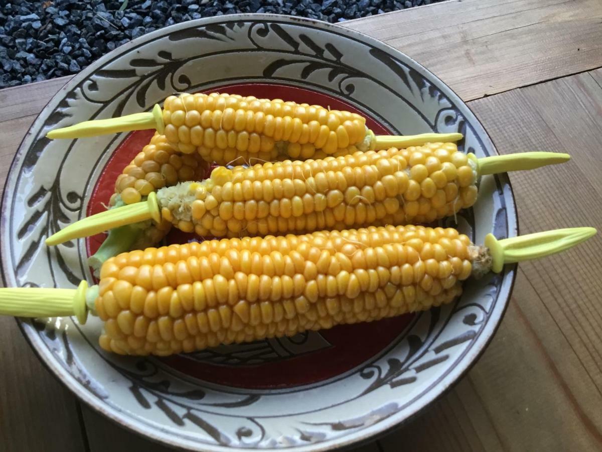 古民家の宿 ふるま家 Furumaya House Gastronomic Farmstay In Deep Kyoto Fukuchiyama Εξωτερικό φωτογραφία